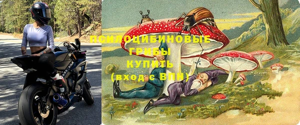 прущий лед Алзамай