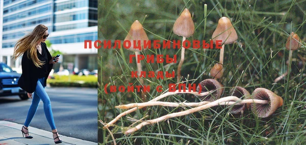 каннабис Абинск