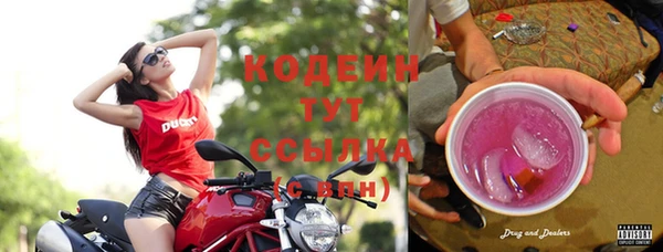 прущий лед Алзамай