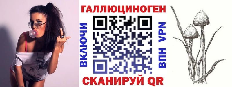 Галлюциногенные грибы прущие грибы  закладки  Струнино 