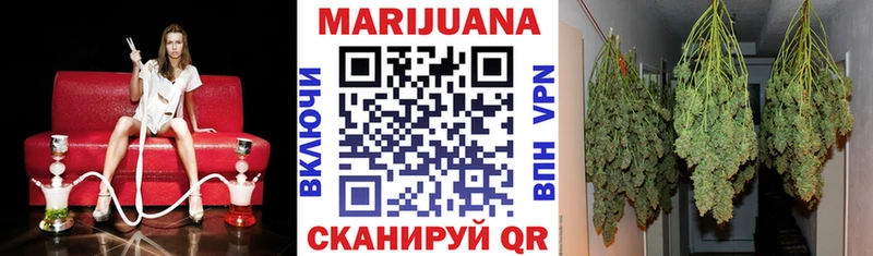 Каннабис SATIVA & INDICA купить Струнино